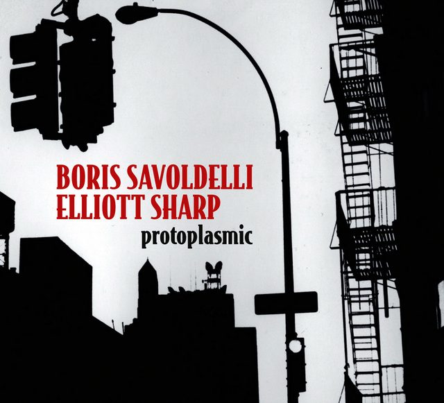 Boris Savoldelli & Elliott Sharp — Protoplasmic